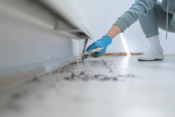 Best Residential Pest Control  in Amherst, OH